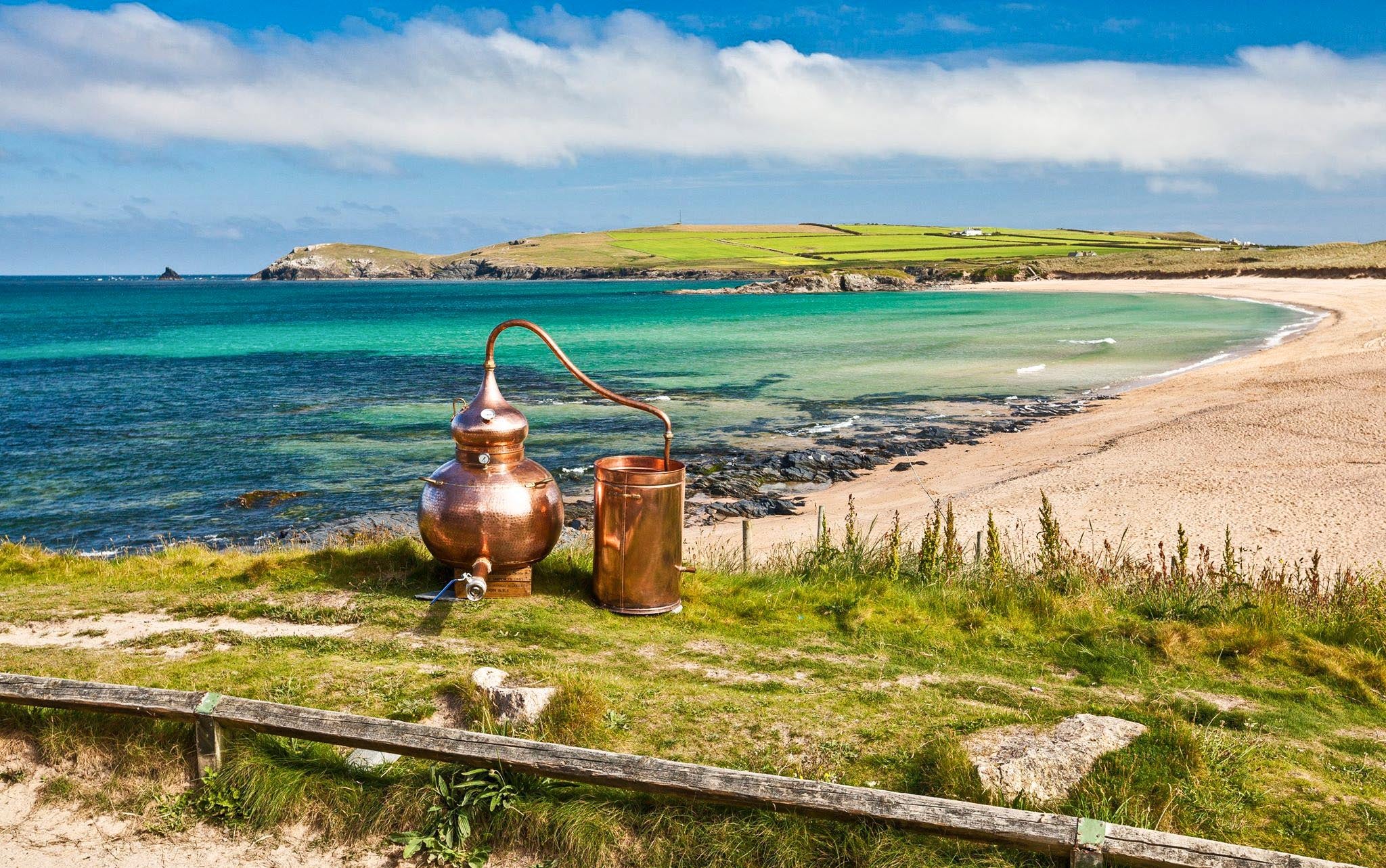 files/Tamara_the_Pot_still_on_the_beach.jpg